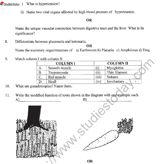 cbse class 11 biology annual exam question papers